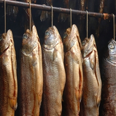 Recipe for preparing smoked trout - Tom Press