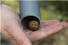 50 mm PVC tube for walnut gatherer