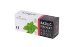 Basil end green refill ingot for vegetable garden