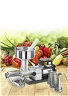 Stainless steel multifruit tomato press 300 W 4 filters