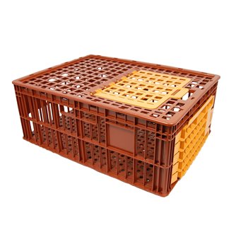 Cage for transport of small animals