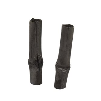 Set of 2 charcoal water filter sticks